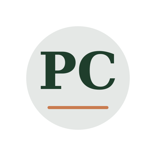 Plain Chimney Service logo